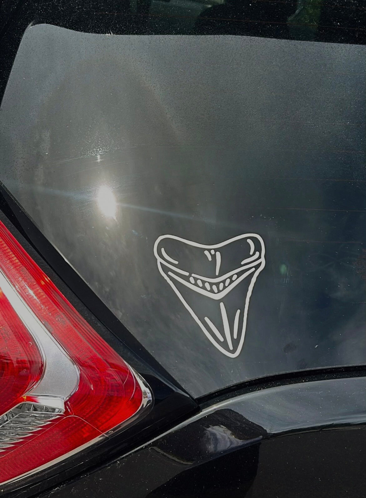 Shark Tooth Sticker Decal